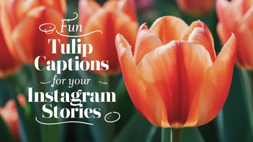 Fun Tulip Captions for Your Instagram Stories