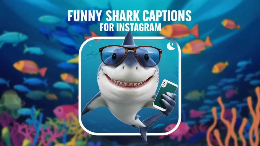  Funny Shark Captions for Instagram 