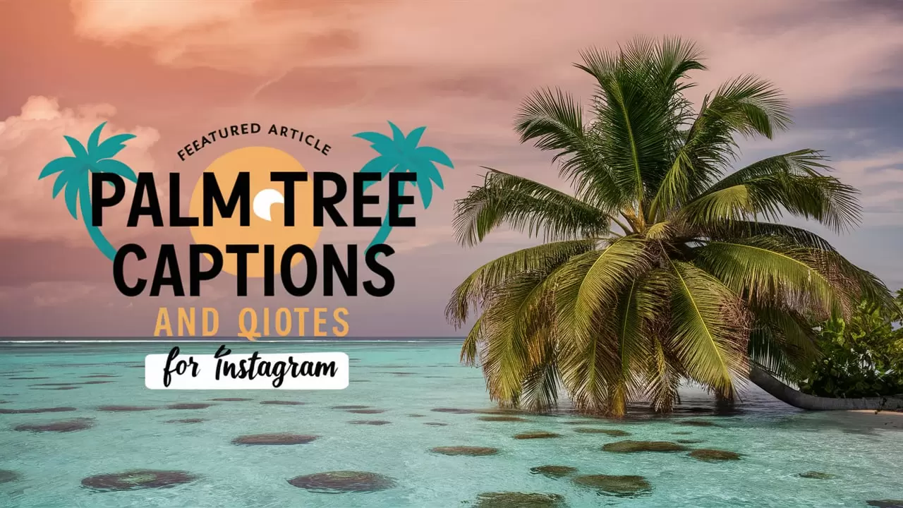 Palm Tree Captions and Quotes for Instagram