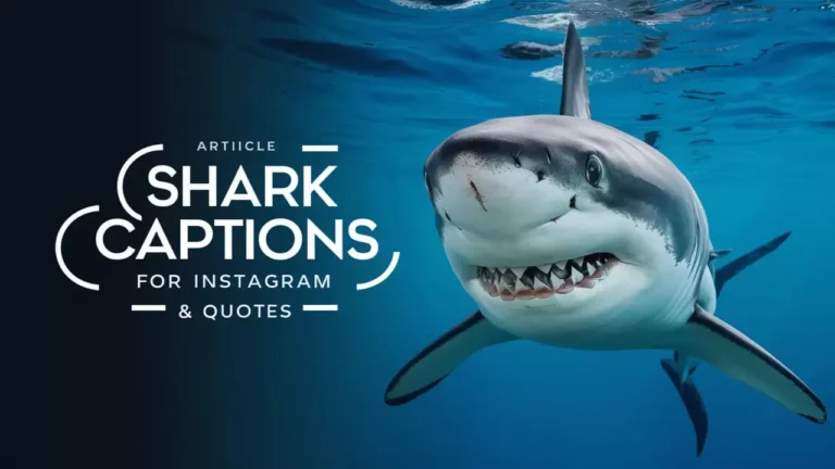 Shark Captions for Instagram & Quotes